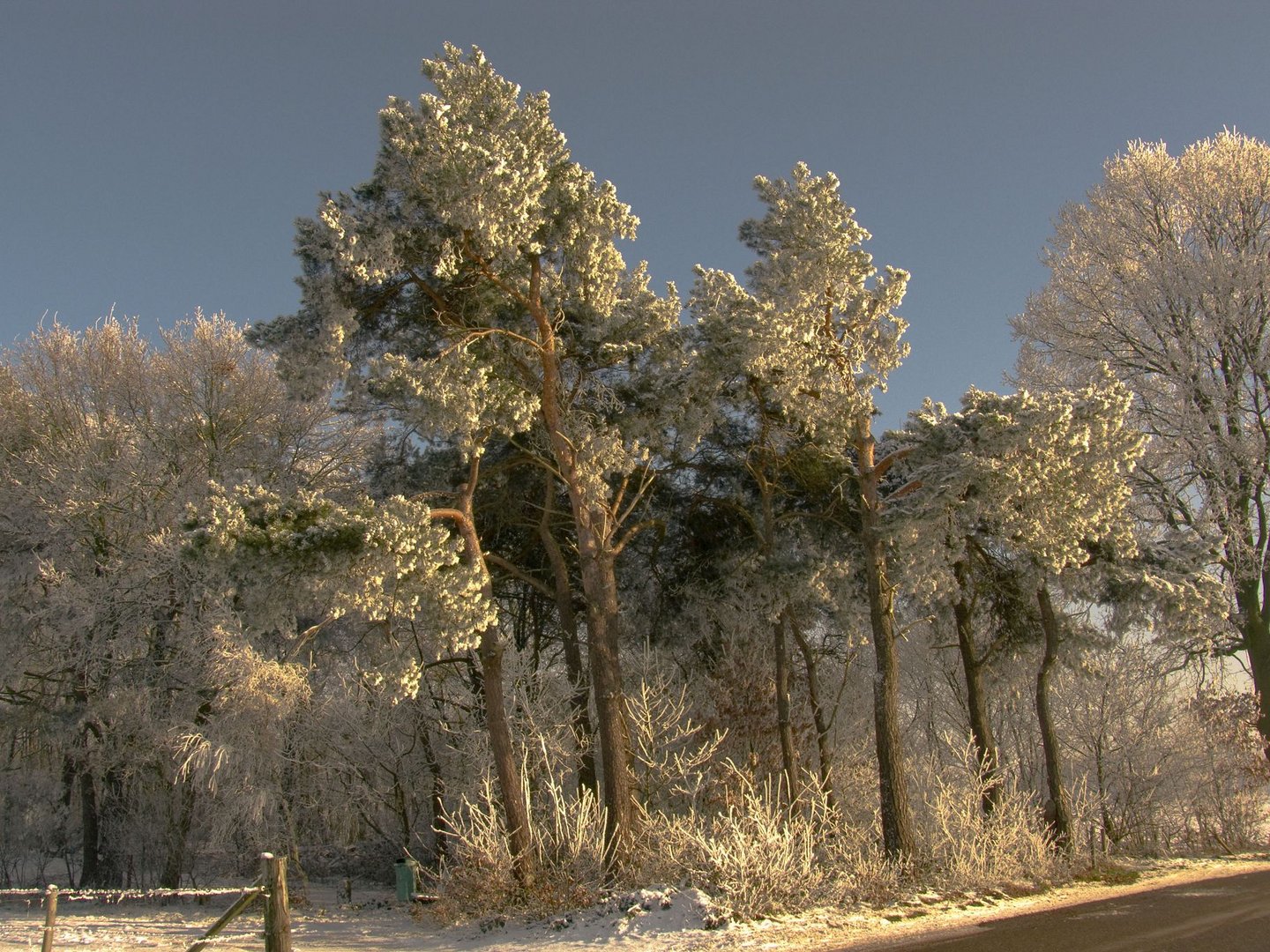 Ein Wintertag