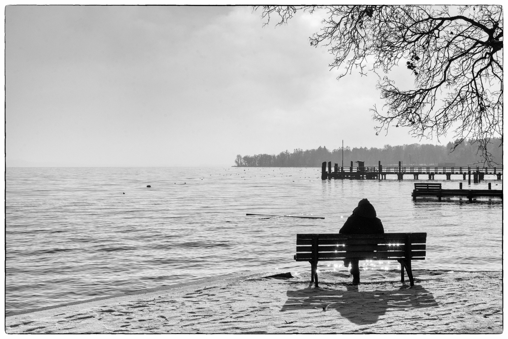 Ein Wintertag am Ammersee  (1 )