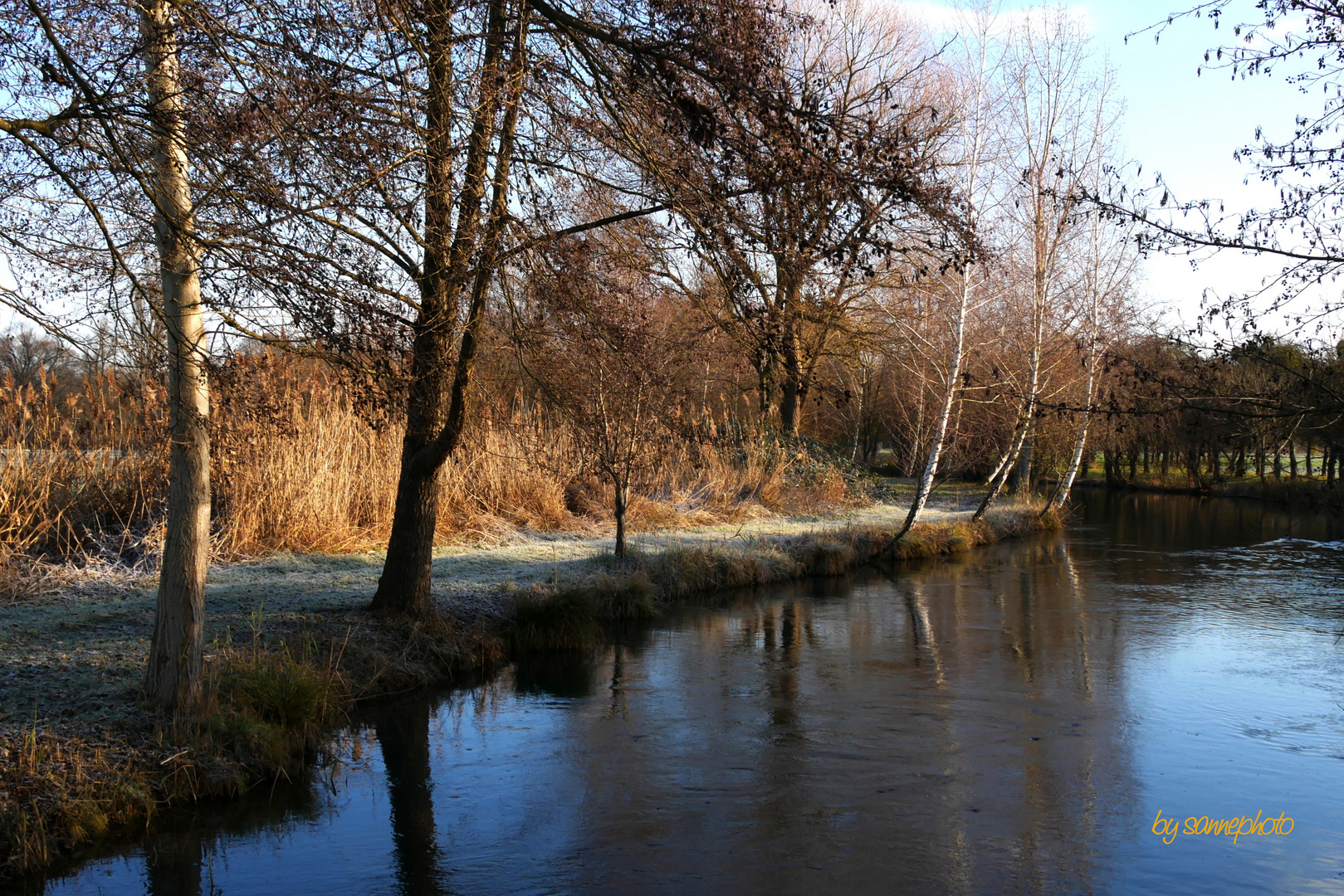 ein Wintertag am Bach