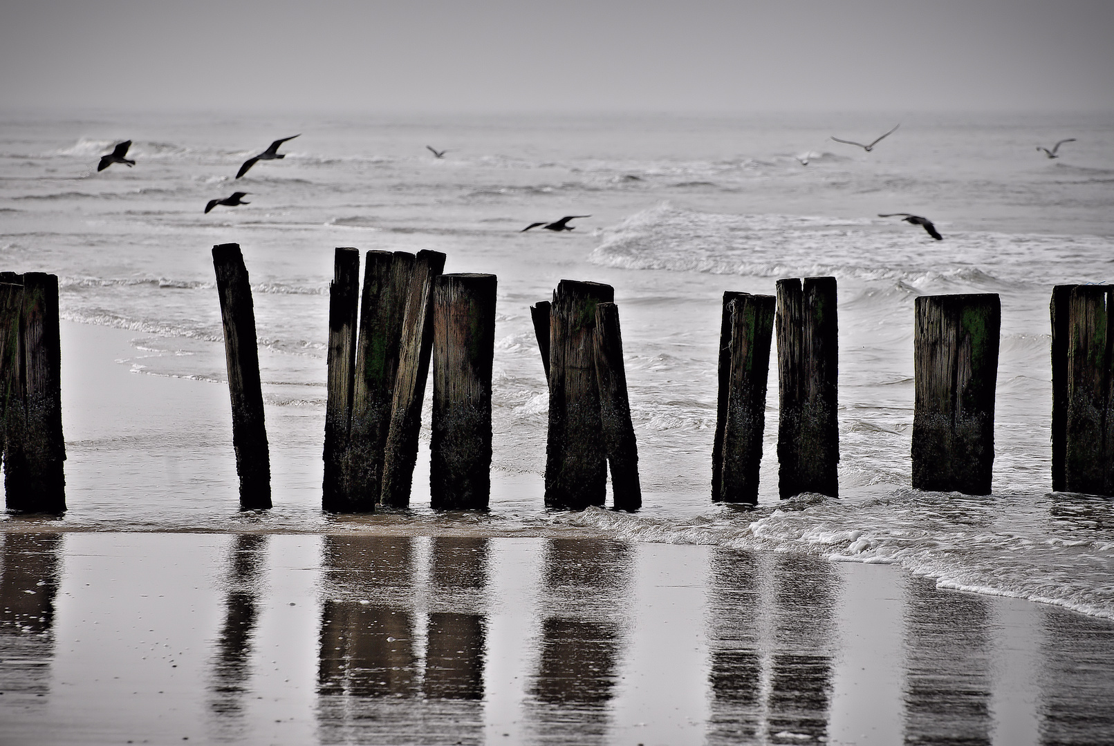 Ein Wintertag am Meer