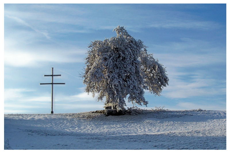 ein Wintertag am Pestkreuz bei Heyerode