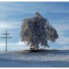 ein Wintertag am Pestkreuz bei Heyerode