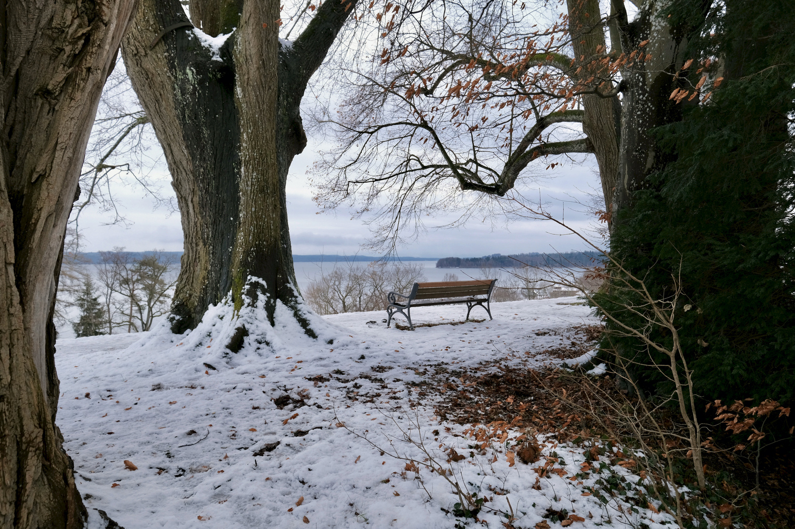 Ein Wintertag am See