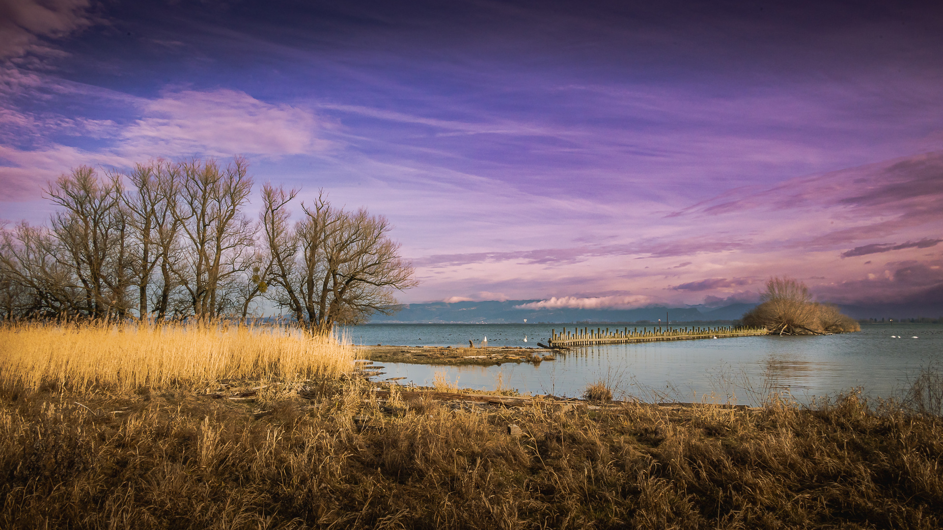 ein Wintertag am See