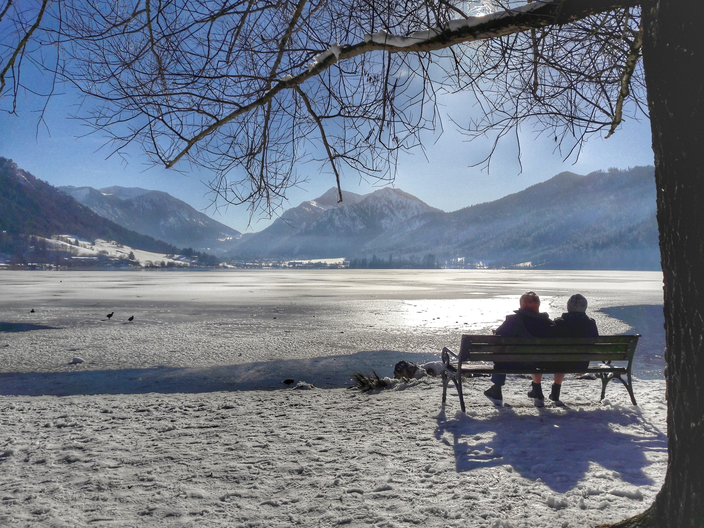 ein wintertag am see