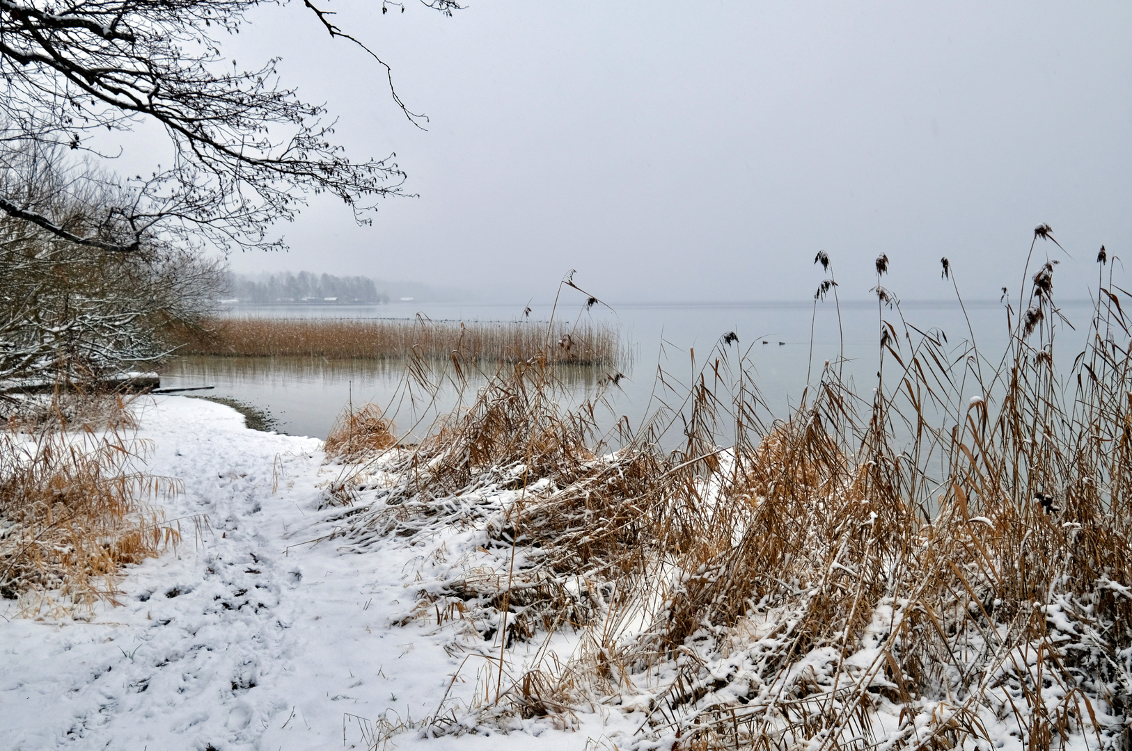 Ein Wintertag am See