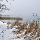 Ein Wintertag am See