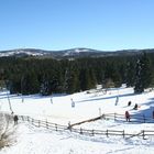 Ein Wintertag am Torfhaus