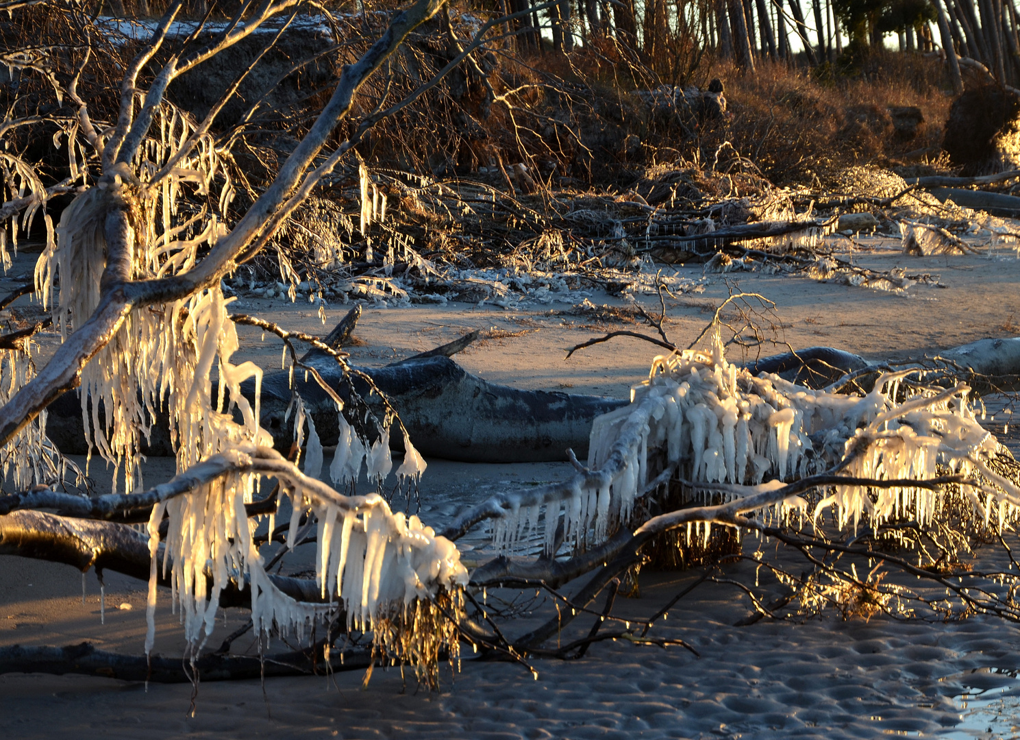 ein Wintertag am Weststrand