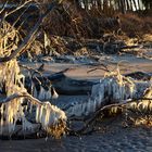 ein Wintertag am Weststrand