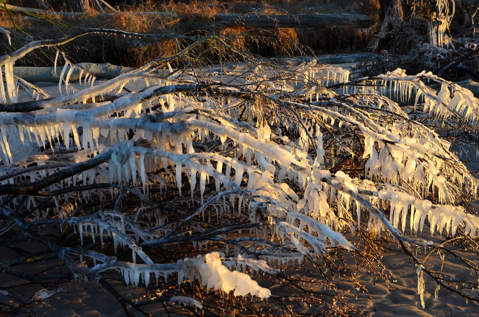 ein Wintertag am Weststrand