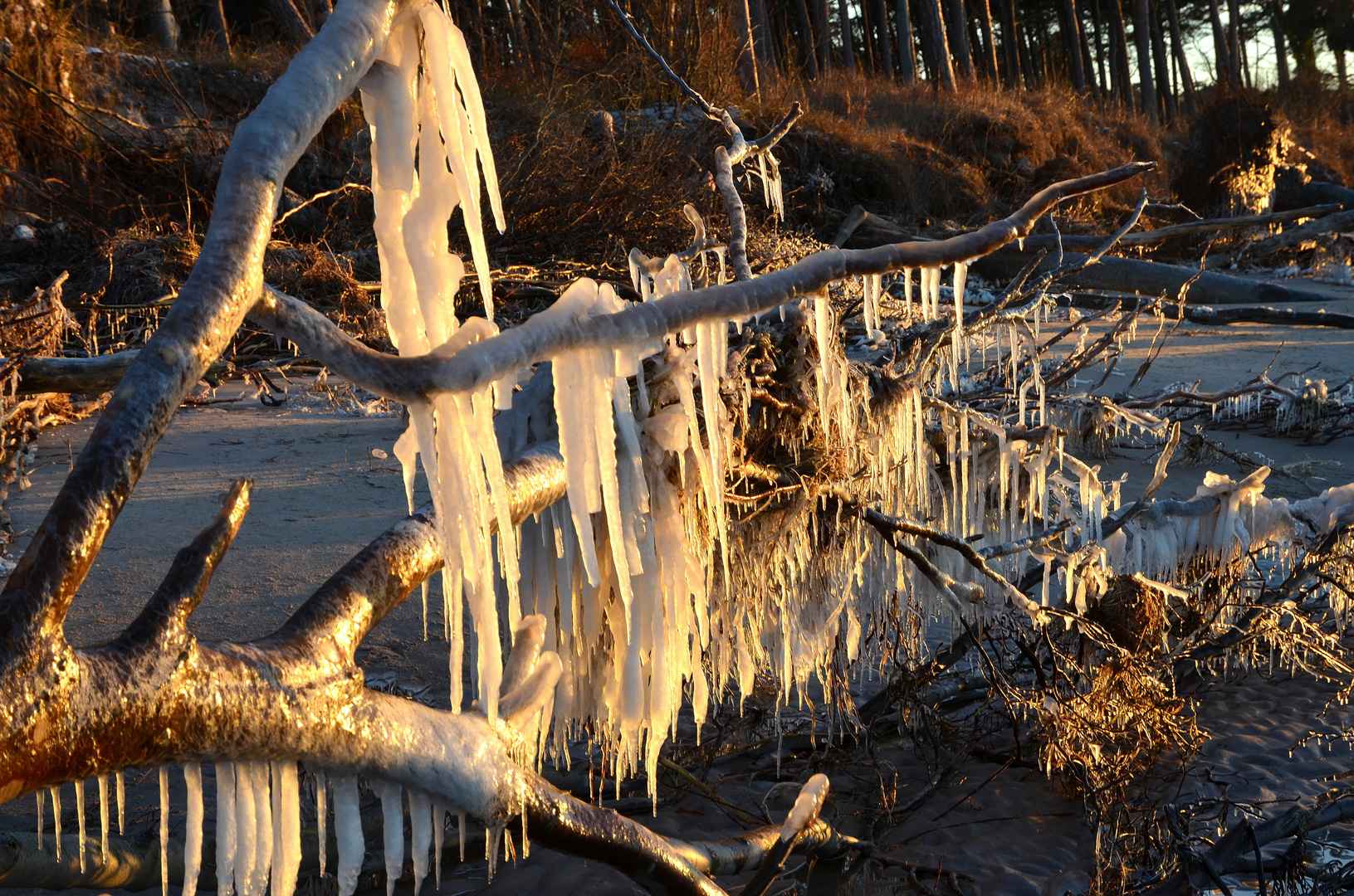 ein Wintertag am Weststrand