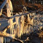 ein Wintertag am Weststrand