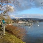 Ein Wintertag am Zürichsee