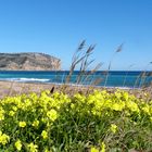 Ein Wintertag an der Costa Blanca (Javea)