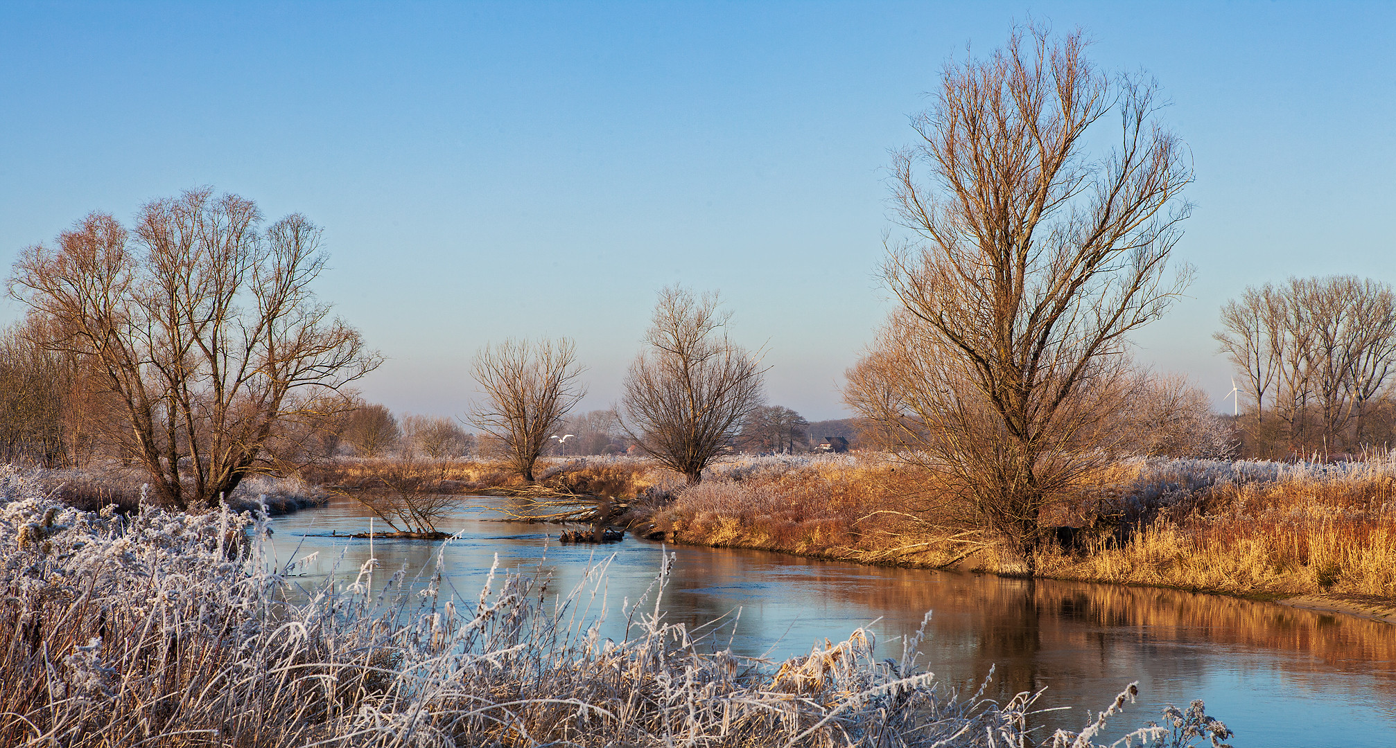 Ein Wintertag an der Lippe 005