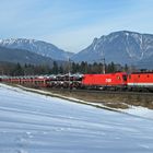 Ein Wintertag an der Steinbauerwiese