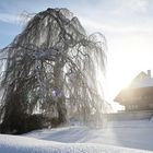 Ein Wintertag auf dem Belpberg