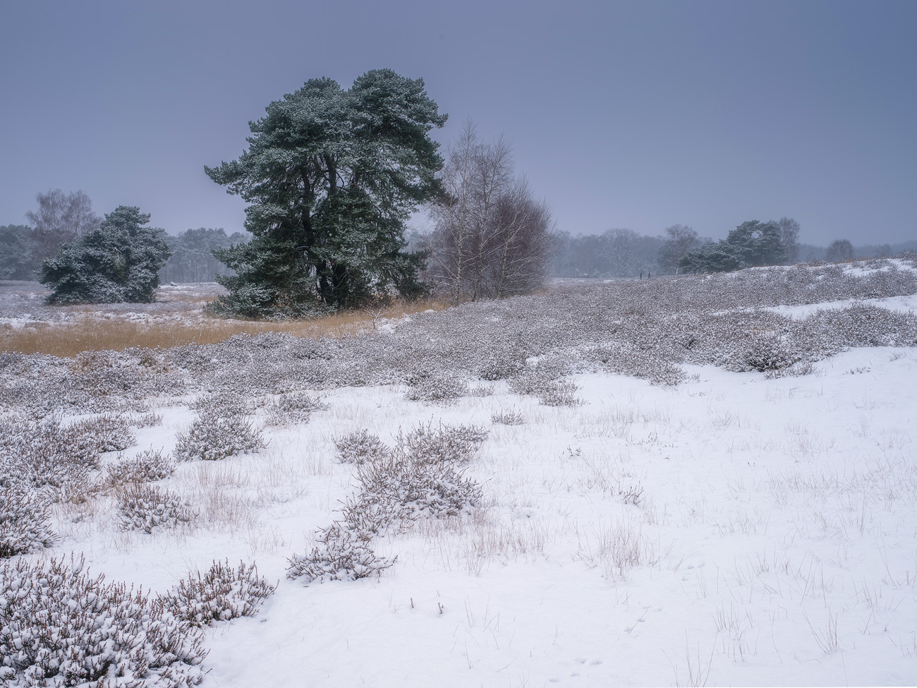 Ein Wintertag