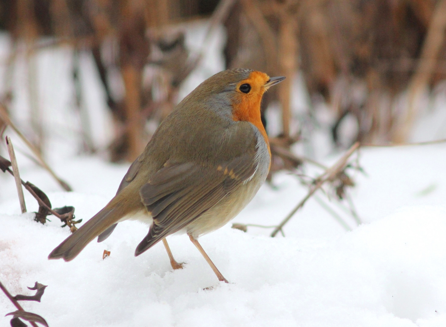 ein Wintertag