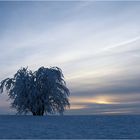 Ein Wintertag geht zu Ende