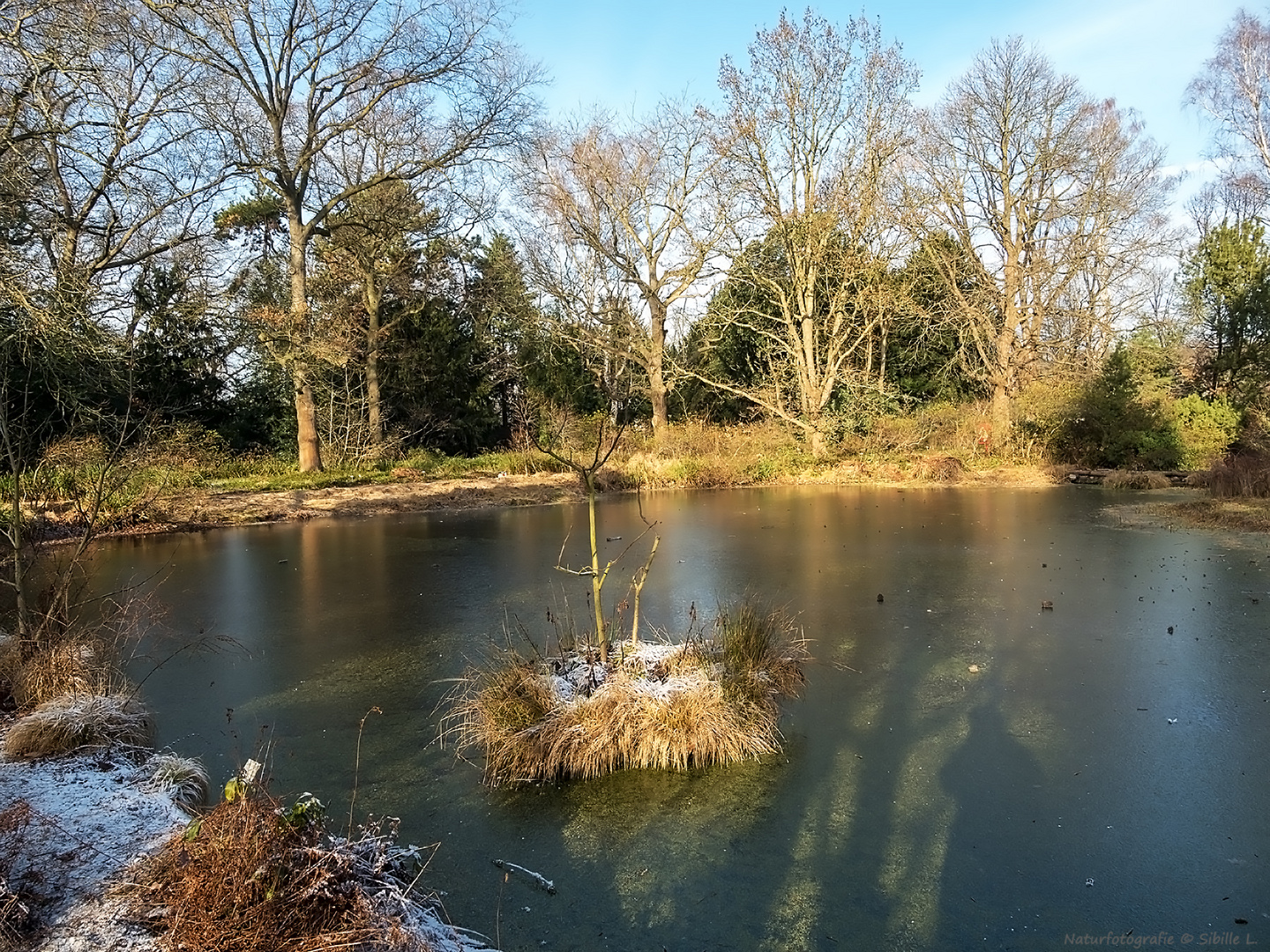 Ein Wintertag im Berggarten...