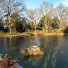 Ein Wintertag im Berggarten...