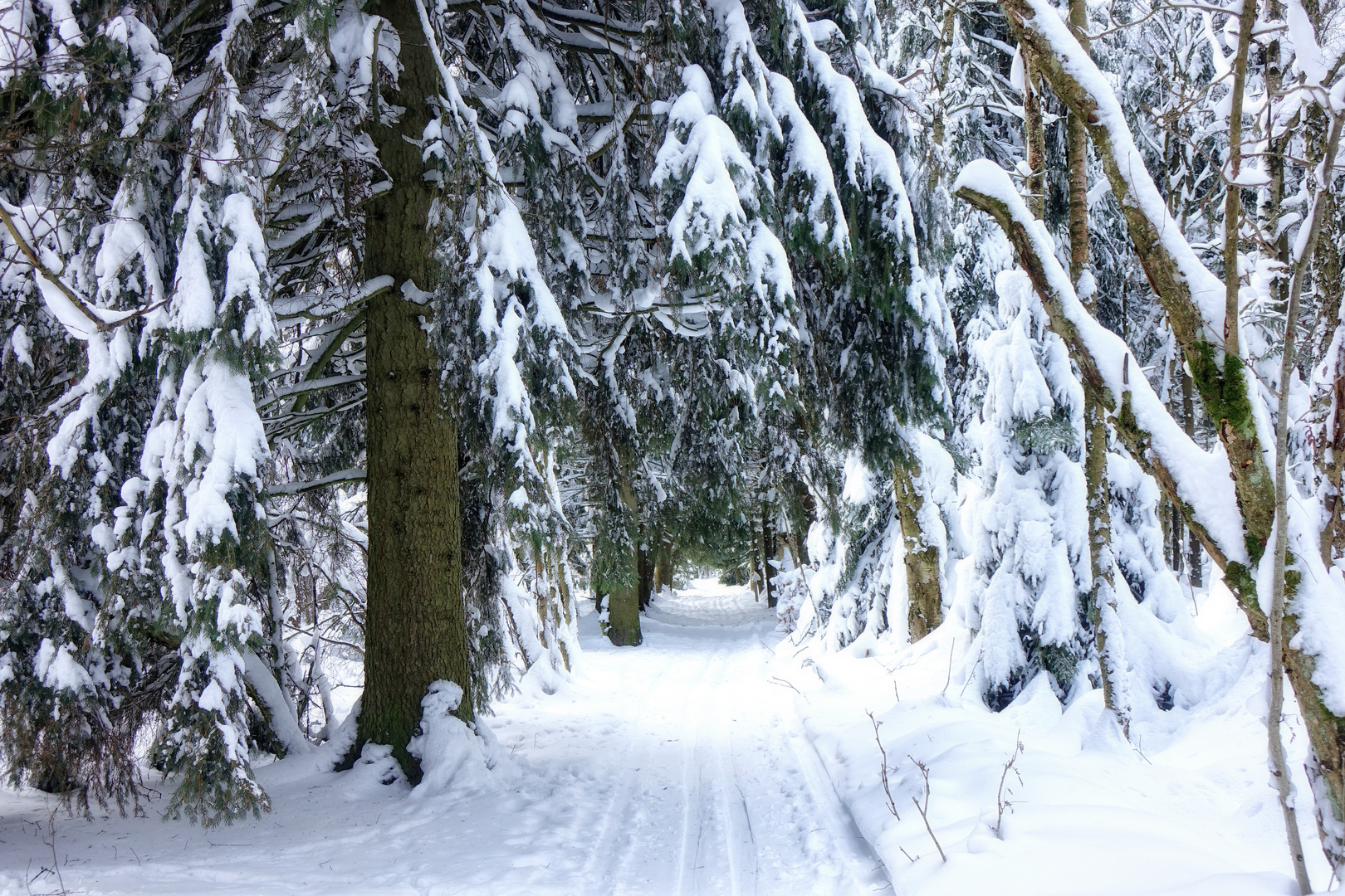 ein Wintertag im Erzgebirge ...