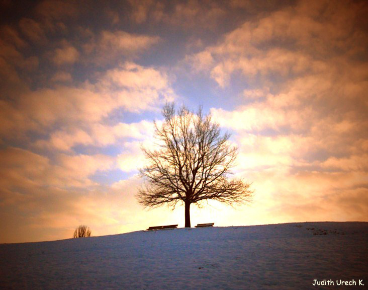 ein Wintertag im Jahre 2010