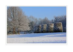 Ein Wintertag im Park