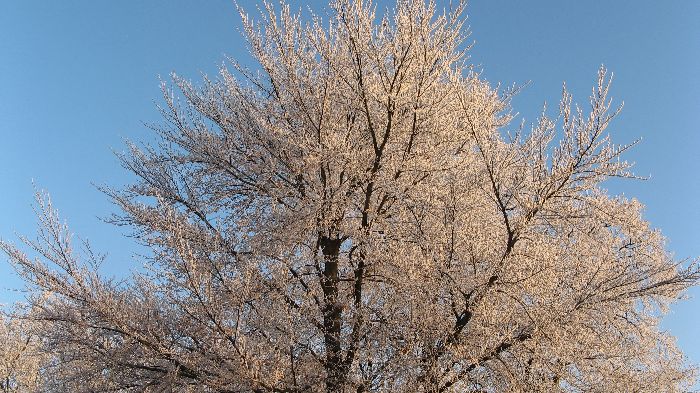 Ein Wintertag im Park