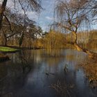 Ein Wintertag im Park