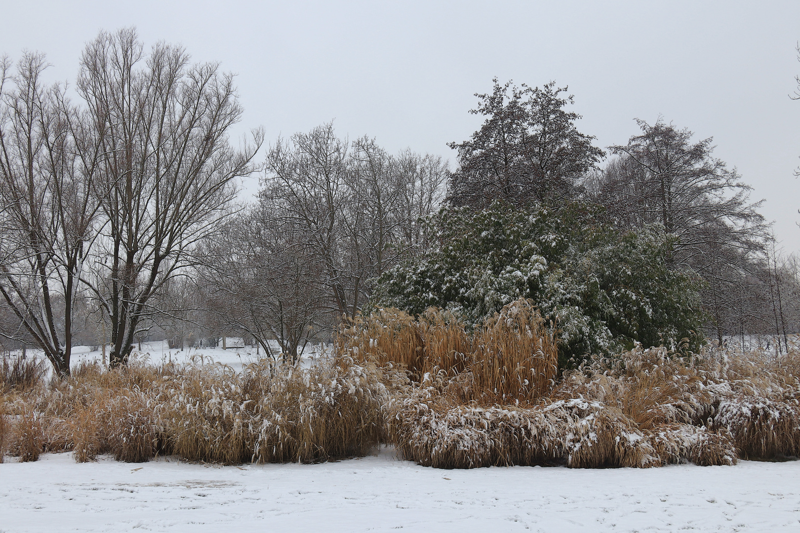 Ein Wintertag im Park