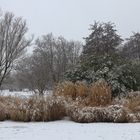 Ein Wintertag im Park