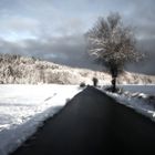 Ein Wintertag im Pfaffenwinkel