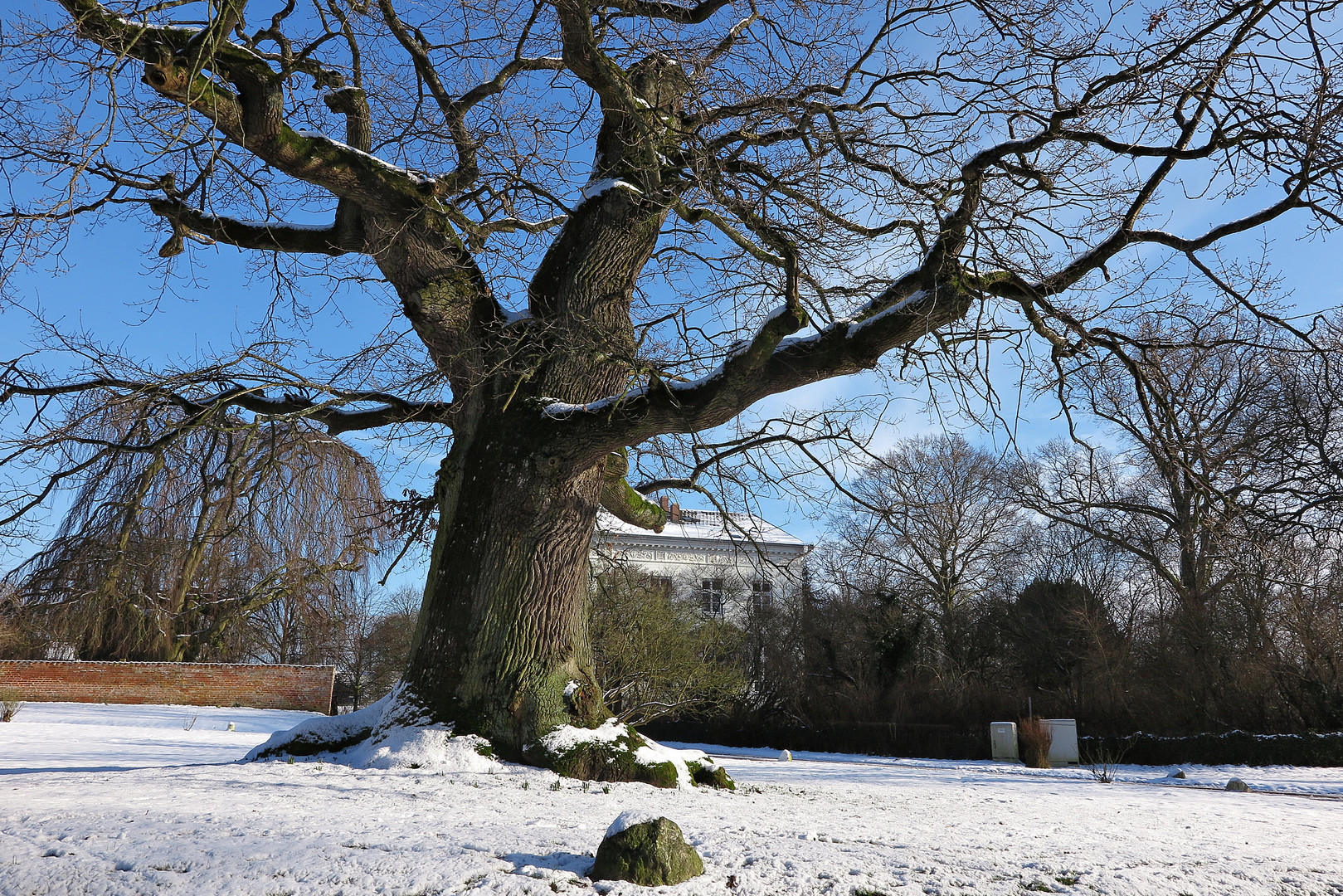 Ein Wintertag in blau-weiß