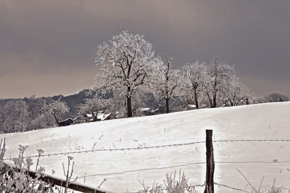 Ein Wintertag in Frankenhardt