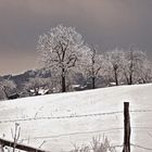 Ein Wintertag in Frankenhardt