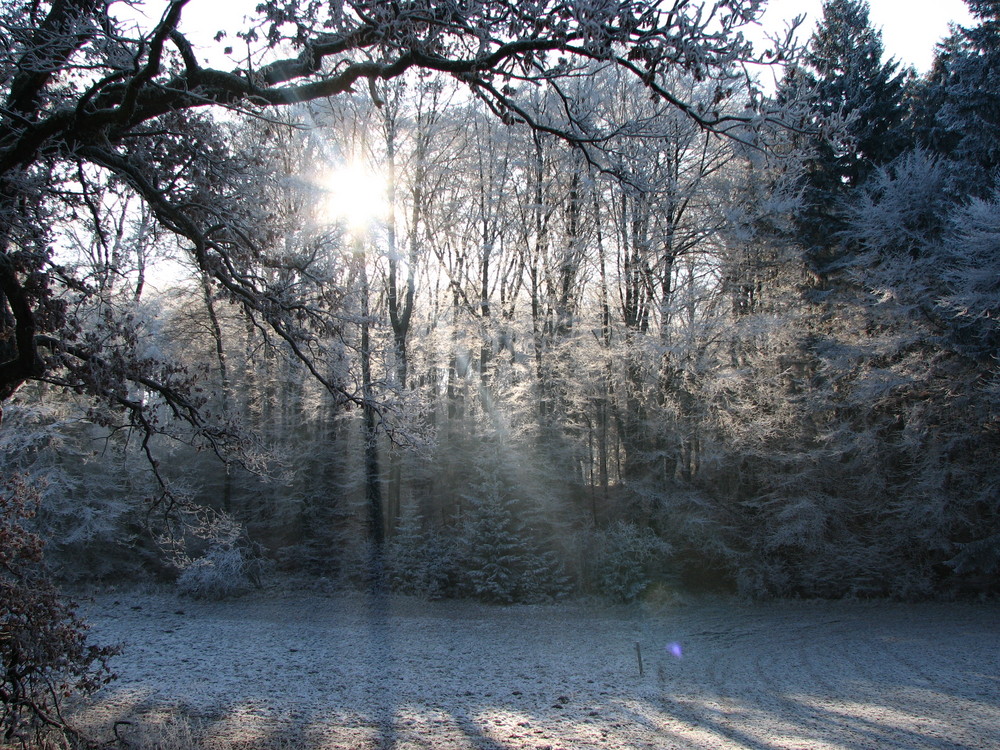 Ein Wintertag in Oberbayern