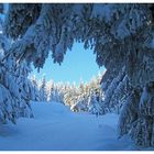 ein Wintertag in Oberhof