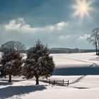 Ein Wintertag in Sachsen