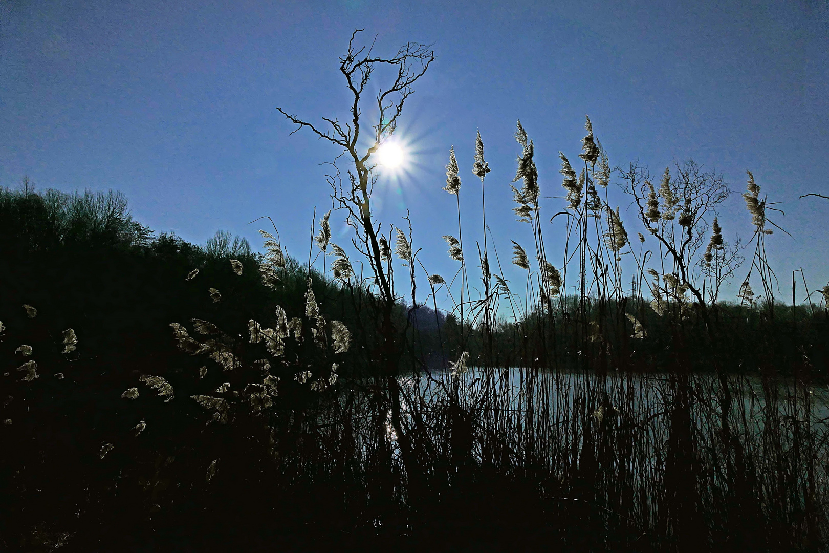 ein Wintertag mit Sonnenstern