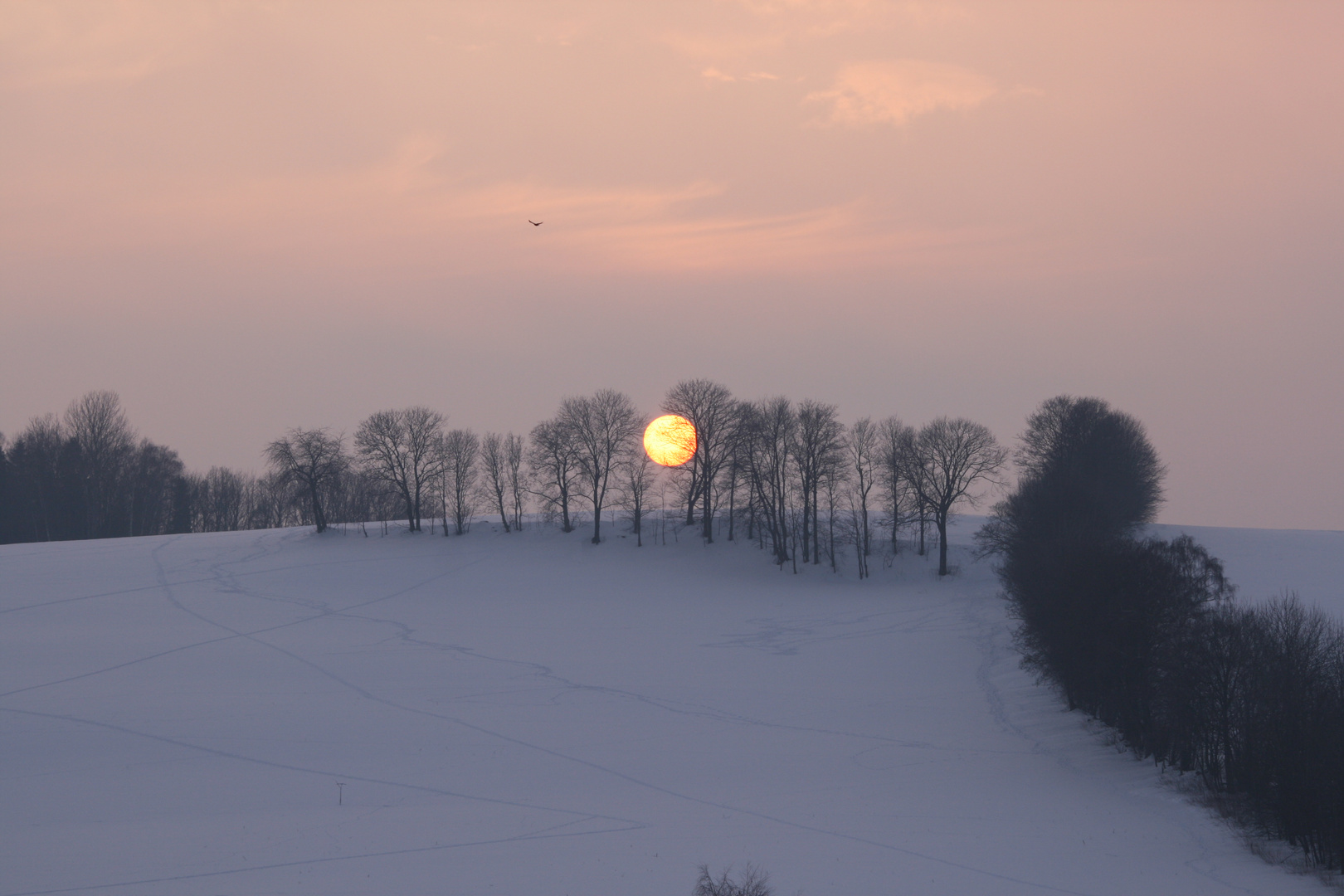 Ein Wintertag neigt sich dem Ende