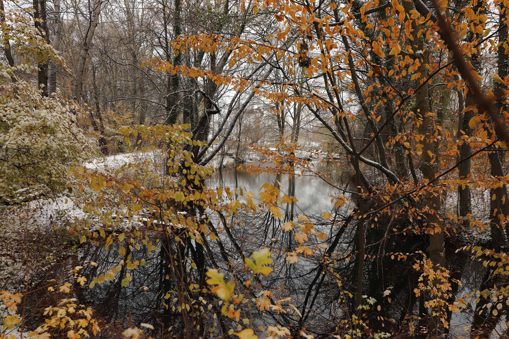 ein winterteich 