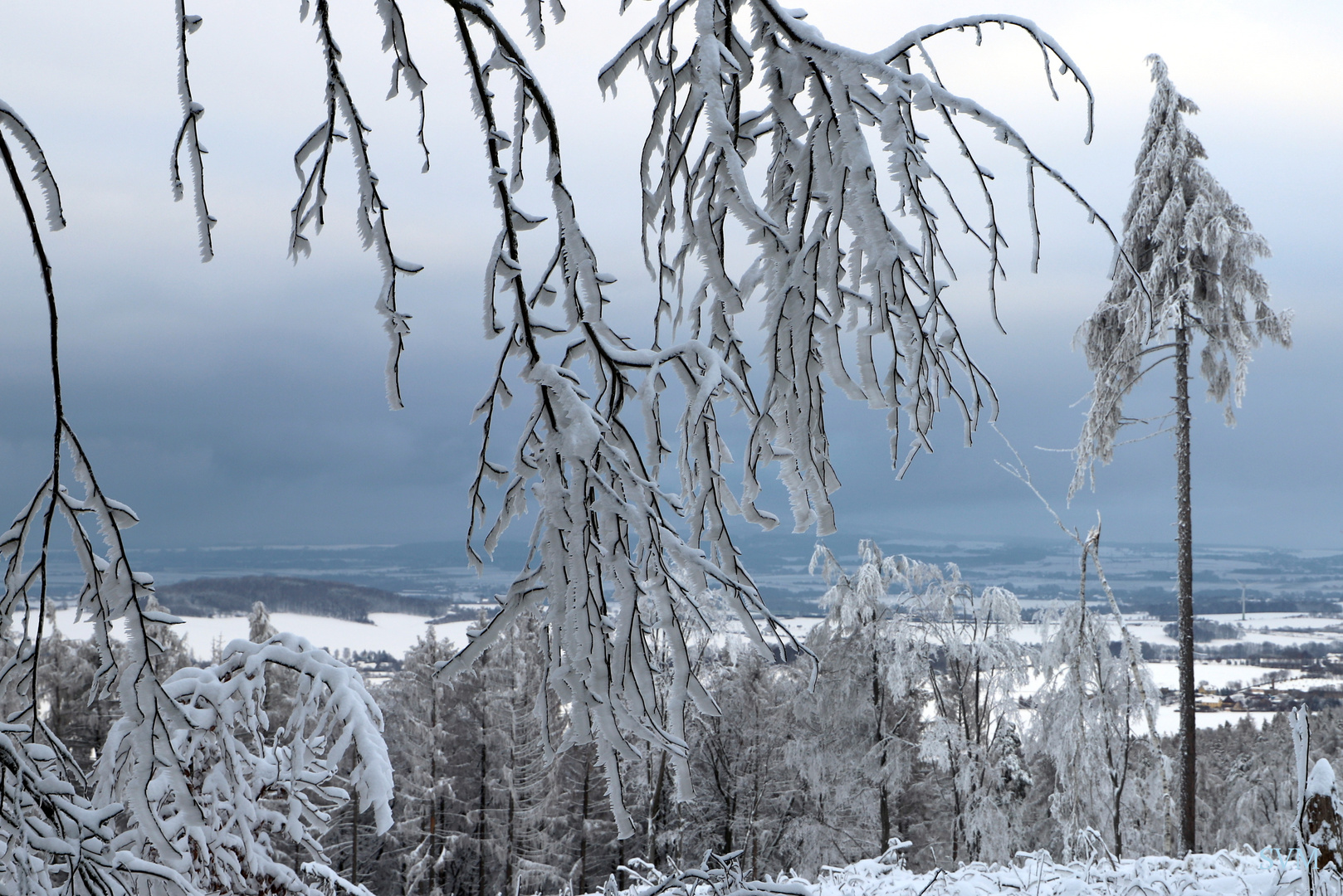 Ein Wintertraum