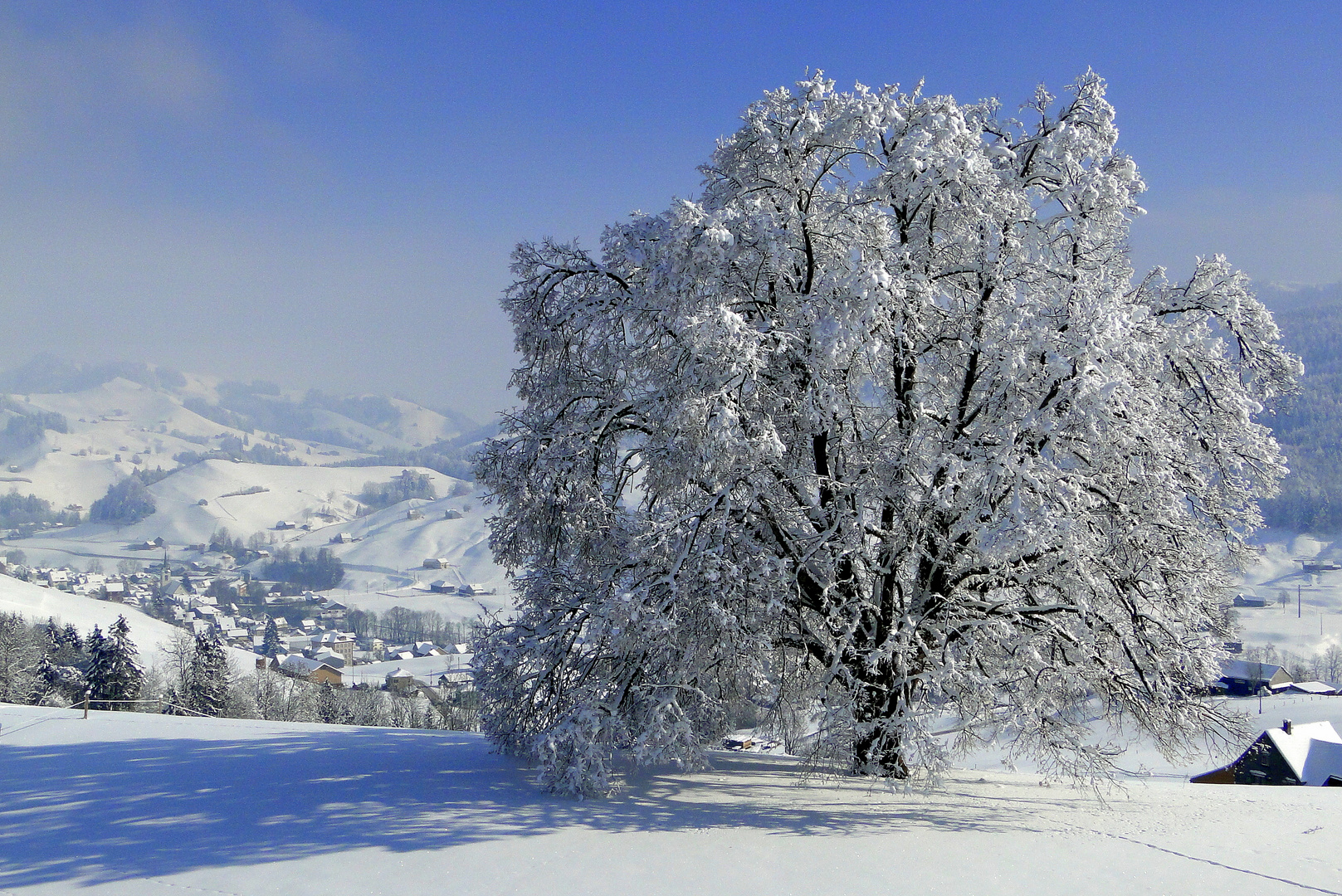 Ein Wintertraum........... 2