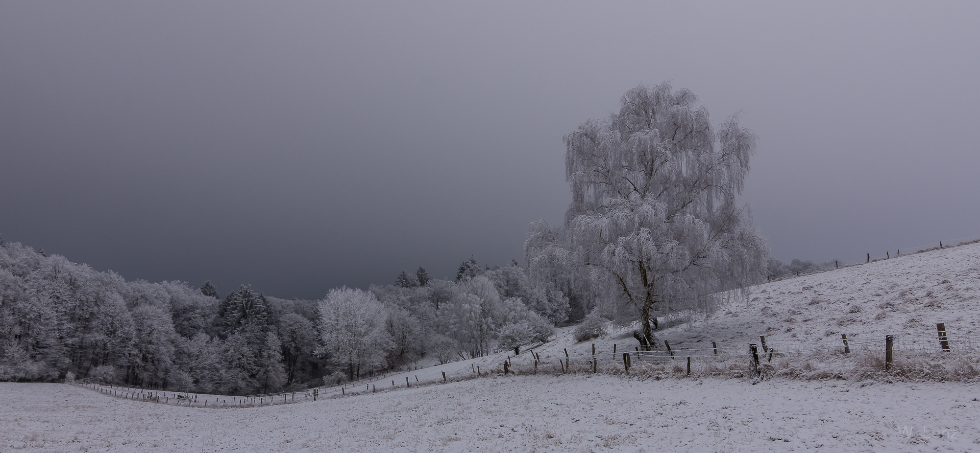 Ein Wintertraum