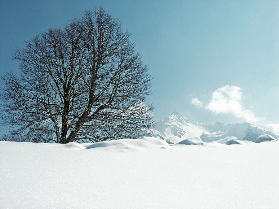 Ein Wintertraum