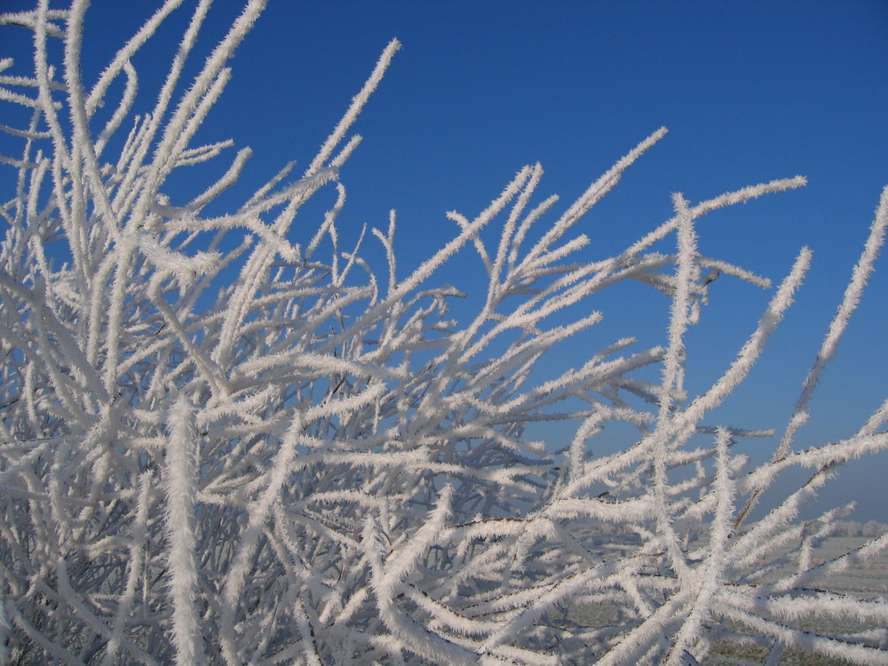 Ein Wintertraum