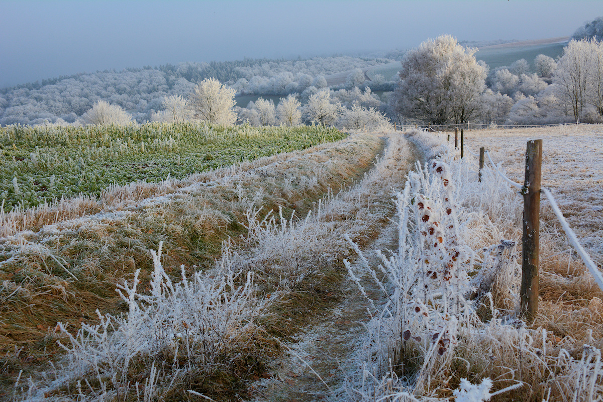 ein Wintertraum....